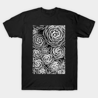 Black and White Succulents T-Shirt